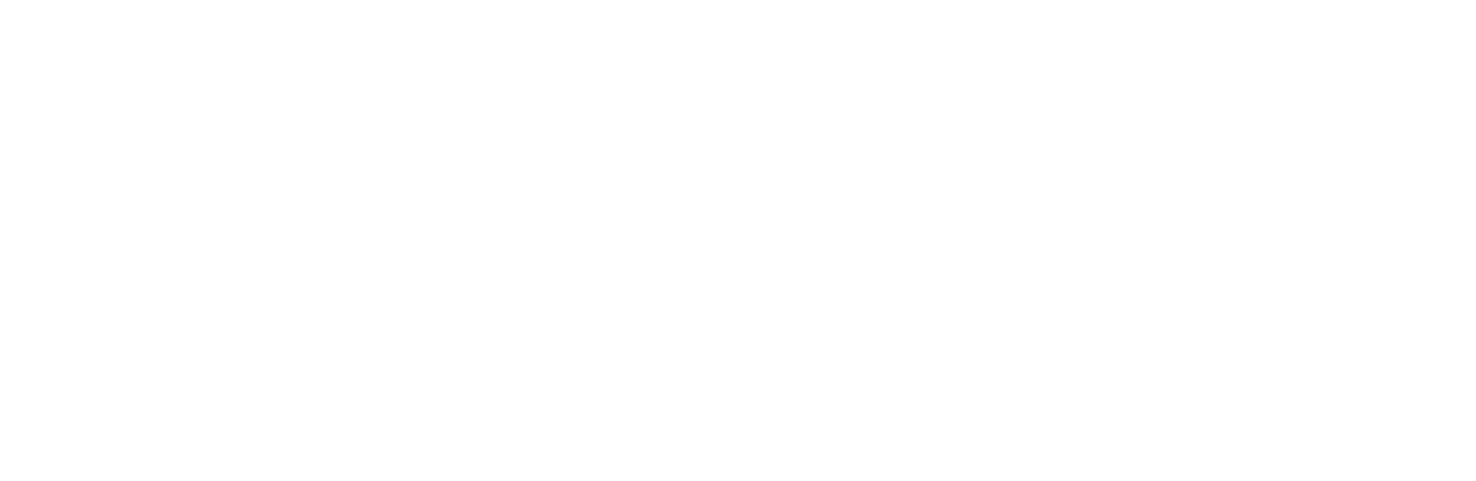 Technik